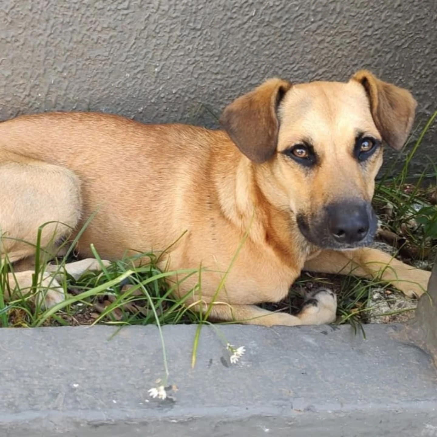 Foto da Athena